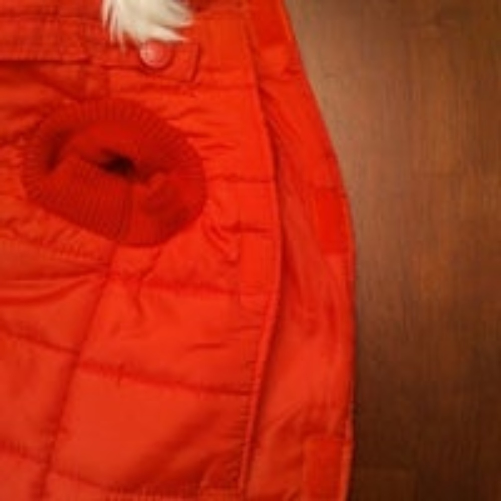 Dog Jacket, Martha Stewart Pets, Medium - Picture 8 of 8